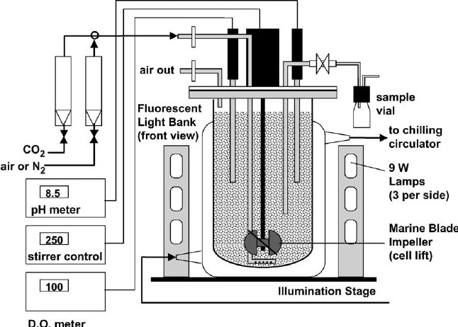 Bioreactor 2 Bioreactor 2